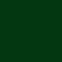 Название цвета металлического штакетника альтернативно каталогу Рал - зеленый мох, темно-зеленый